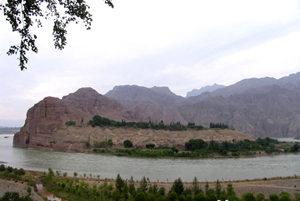 xunhua6.jpg